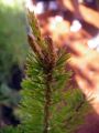 2010 05 24 jeanmarcperfetti.com 015.JPG